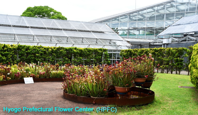 Hyogo Pref. Flower Center