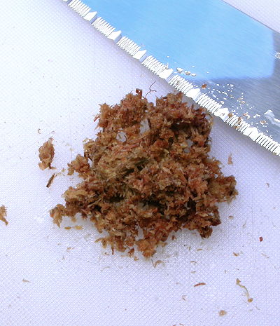 Chopped sphagnum