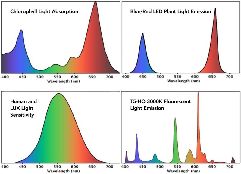 Light Spectrums