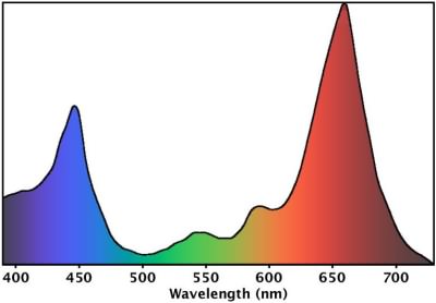 Chlorophyl Spectrum