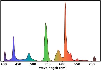 Fluorescent bulb store spectrum